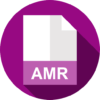 amr converter